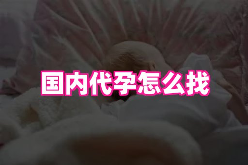 点点助孕网 1