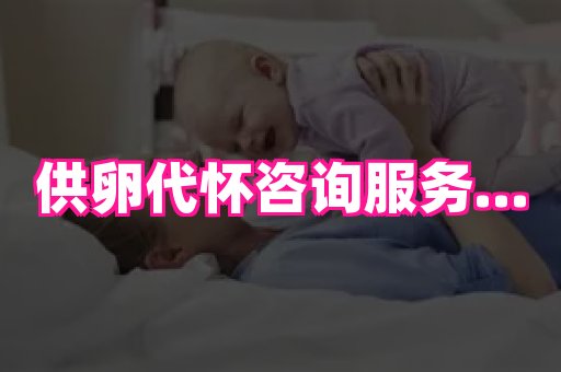 点点助孕网 2