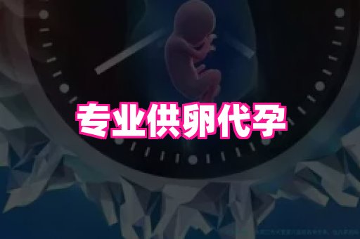 点点助孕网 3