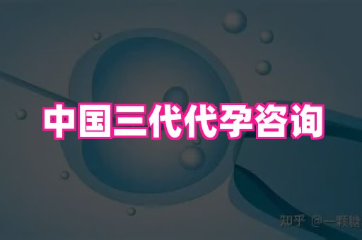 点点助孕网 4